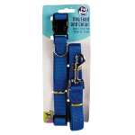 Dog Lead and Collar Set